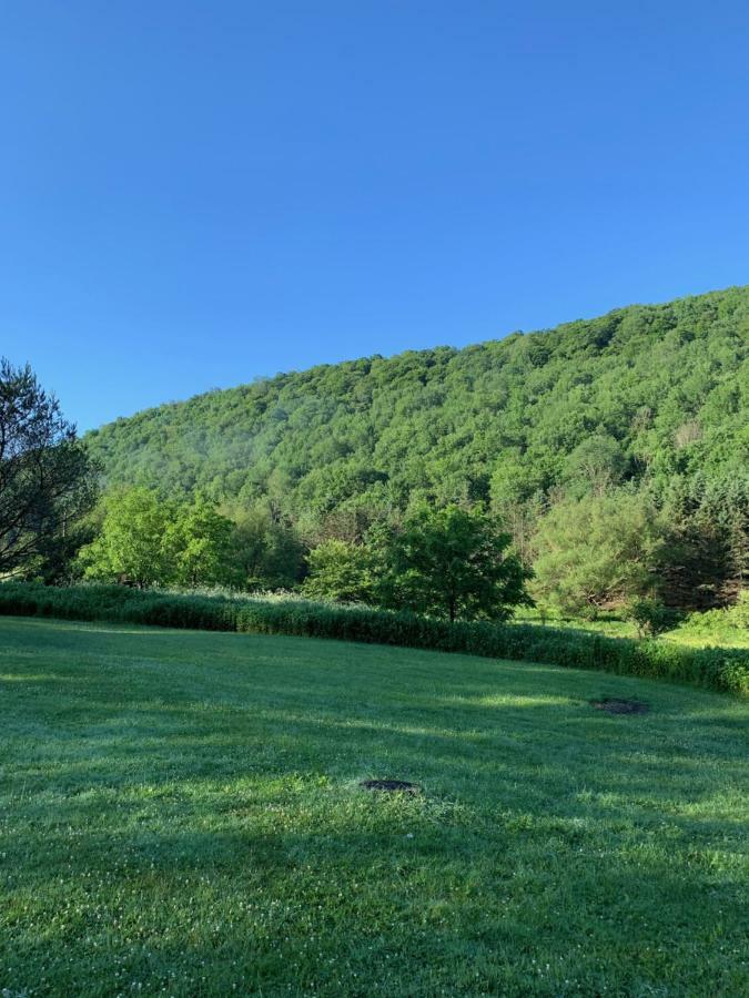 The Maples Apt - King Bed, Pet Friendly, Beautiful Views Ellicottville Exterior foto